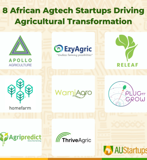 12 East African Startups You Should Know About