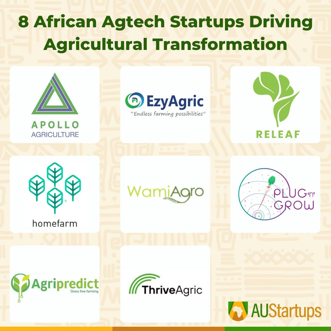 8 African Agtech Startups Driving Agricultural Transformation